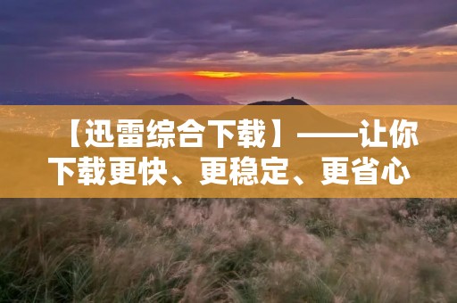 【迅雷综合下载】——让你下载更快、更稳定、更省心的下载工具 【迅雷综合下载】——让你下载更快、更稳定、更省心的下载工具