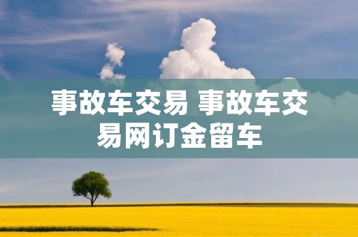 事故车交易 事故车交易网订金留车