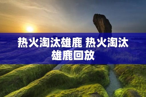 热火淘汰雄鹿 热火淘汰雄鹿回放 热火淘汰雄鹿 热火淘汰雄鹿回放