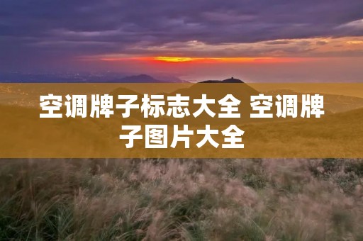 空调牌子标志大全 空调牌子图片大全 空调牌子标志大全 空调牌子图片大全