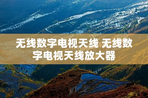 无线数字电视天线 无线数字电视天线放大器 无线数字电视天线 无线数字电视天线放大器