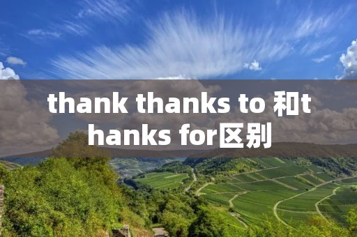 thank thanks to 和thanks for区别