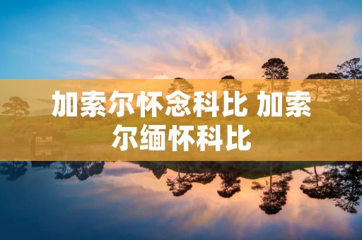 加索尔怀念科比 加索尔缅怀科比 加索尔怀念科比 加索尔缅怀科比