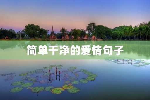 简单干净的爱情句子:让你的爱情变得简单又干净