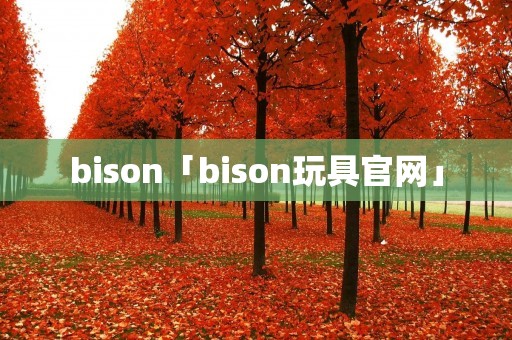 bison「bison玩具官网」