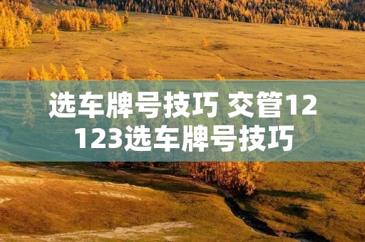 选车牌号技巧 交管12123选车牌号技巧 选车牌号技巧 交管12123选车牌号技巧