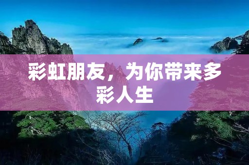 彩虹朋友，为你带来多彩人生