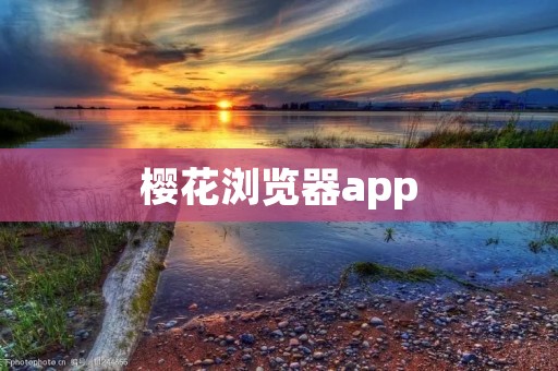 樱花浏览器app:轻巧高效的移动浏览器 樱花浏览器app:轻巧高效的移动浏览器