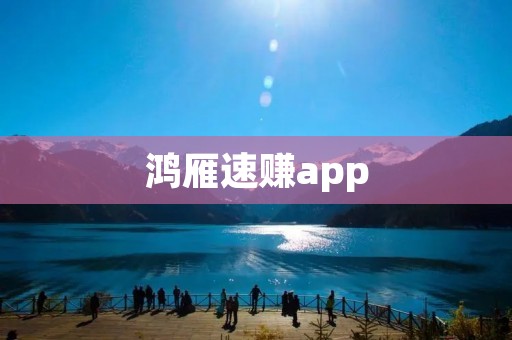 鸿雁速赚app：高效赚钱的利器