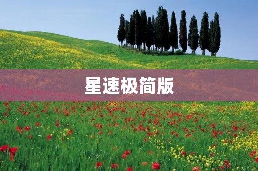 星速极简版：高效快捷的新一代物流服务