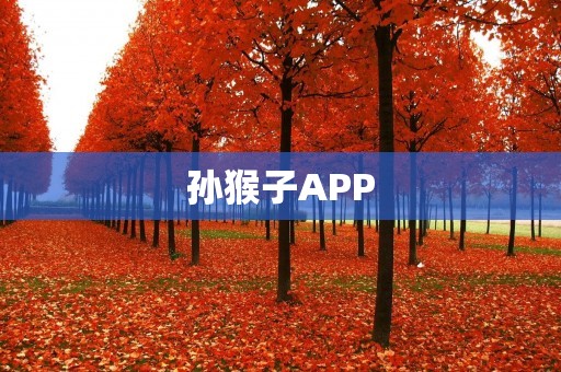 孙猴子APP：探索神话世界的精彩冒险