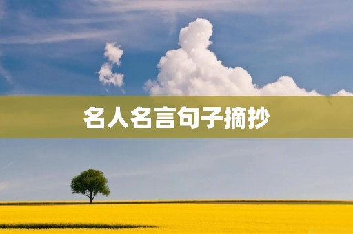 名人名言句子摘抄:用智慧点亮人生的火炬