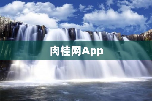 肉桂网App：带你探索美食世界