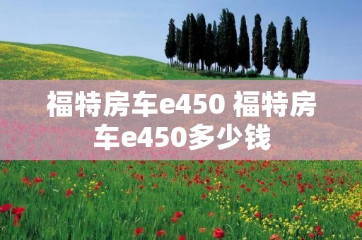 福特房车e450 福特房车e450多少钱