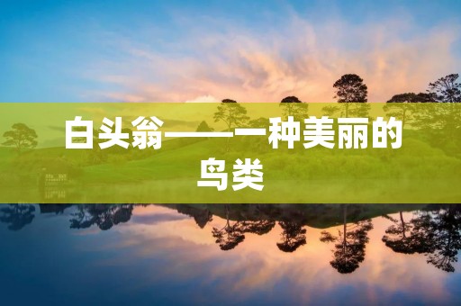 白头翁——一种美丽的鸟类 白头翁——一种美丽的鸟类
