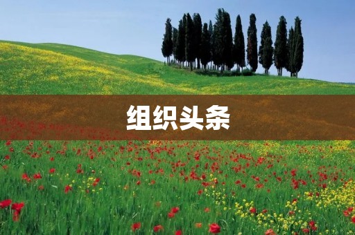 组织头条:打造高效组织,引领行业潮流 组织头条:打造高效组织,引领行业潮流