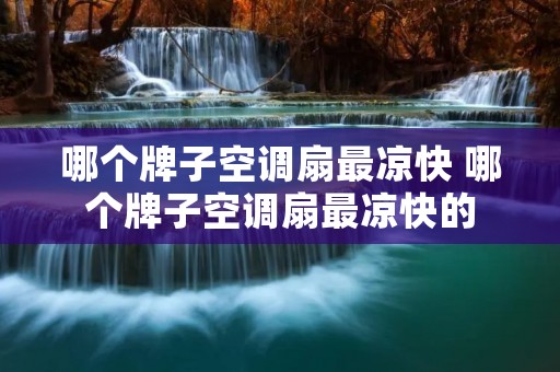 哪个牌子空调扇最凉快 哪个牌子空调扇最凉快的
