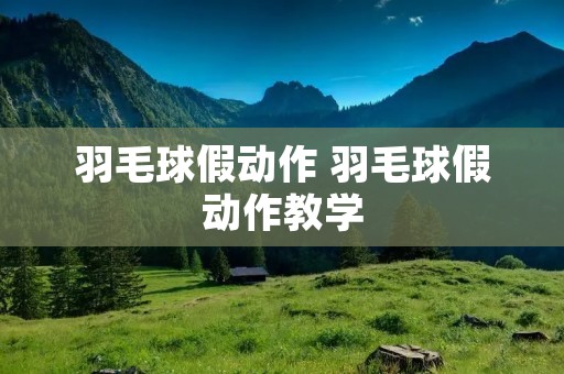 羽毛球假动作 羽毛球假动作教学
