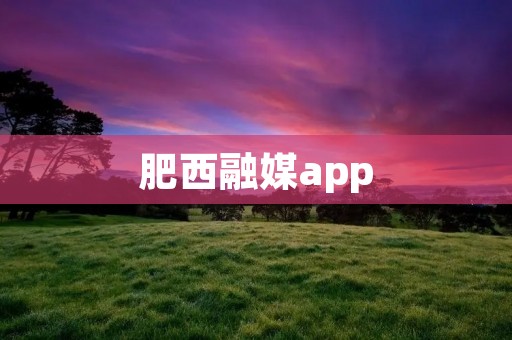 肥西融媒app：连接肥西与世界的桥梁