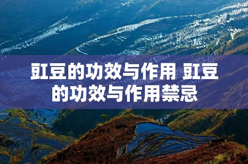 豇豆的功效与作用 豇豆的功效与作用禁忌
