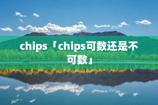 chips「chips可数还是不可数」