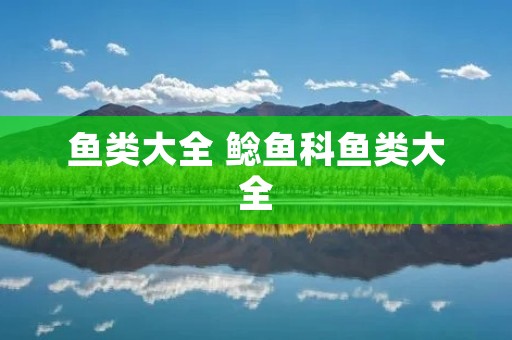 鱼类大全 鲶鱼科鱼类大全