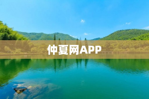 仲夏网APP：为你带来无尽夏日乐趣