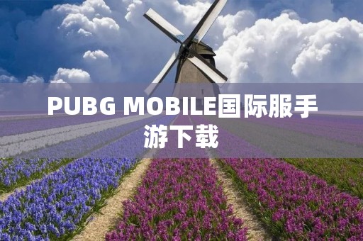 PUBG MOBILE国际服手游下载：畅玩全球最火爆的射击游戏