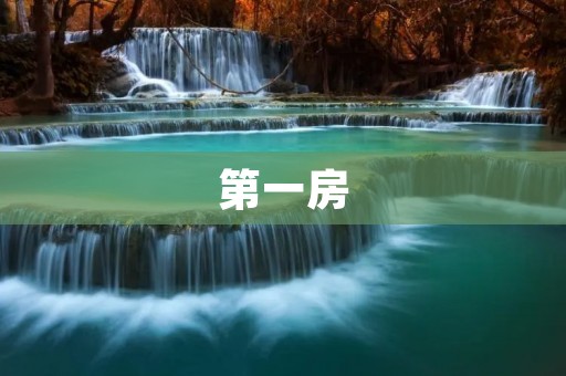 第一房：开启美好生活的首选之地