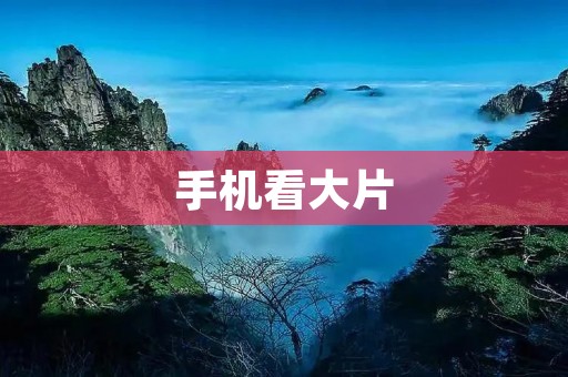手机看大片:如何选择最佳观影体验? 手机看大片:如何选择最佳观影体验?