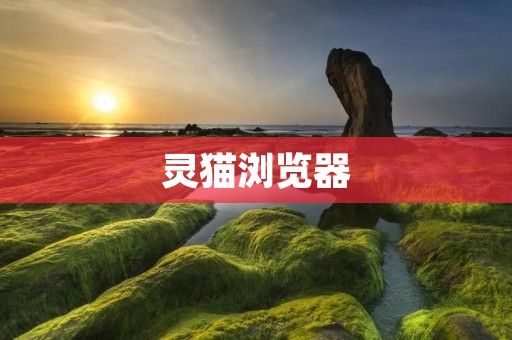 灵猫浏览器：探索互联网世界的便捷之选