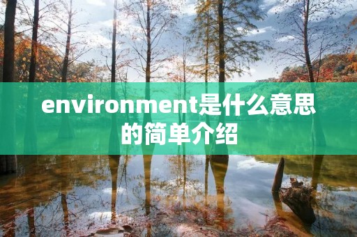 environment是什么意思的简单介绍