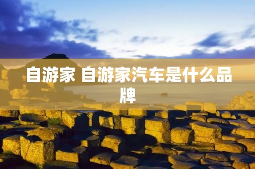 自游家 自游家汽车是什么品牌