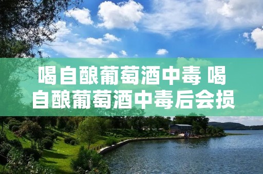喝自酿葡萄酒中毒 喝自酿葡萄酒中毒后会损伤内脏吗
