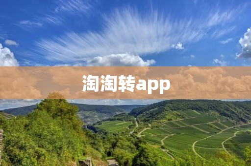 淘淘转app:让闲置物品变现,实现轻松转转! 淘淘转app:让闲置物品变现,实现轻松转转!