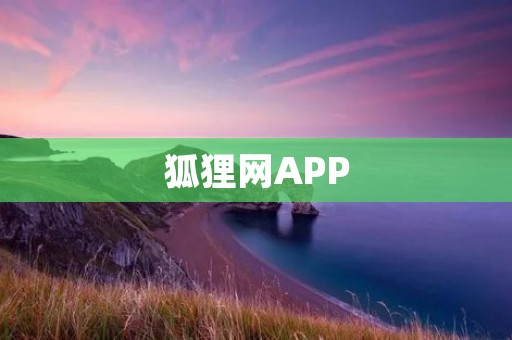 狐狸网APP:连接你与时尚潮流的桥梁 狐狸网APP:连接你与时尚潮流的桥梁
