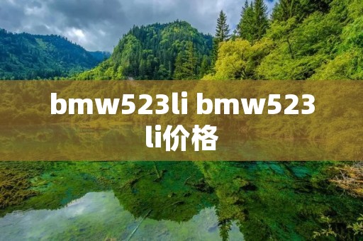 bmw523li bmw523li价格