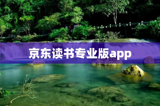 京东读书专业版app：打开知识的大门