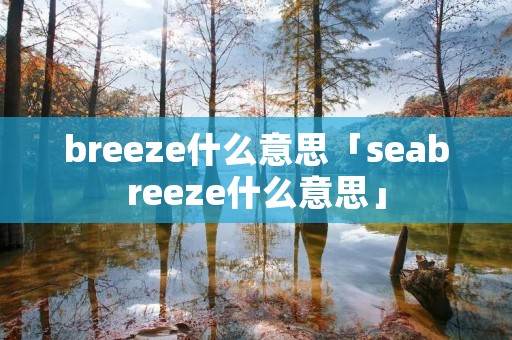 breeze什么意思「seabreeze什么意思」
