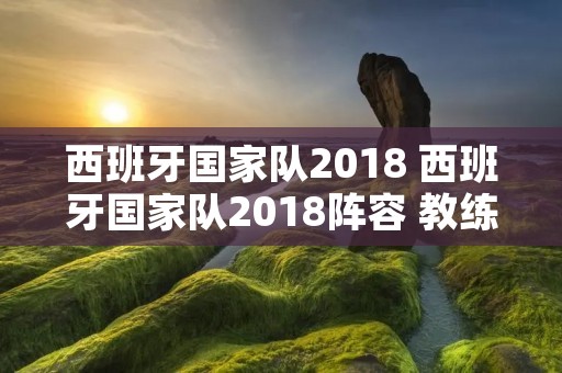 西班牙国家队2018 西班牙国家队2018阵容 教练