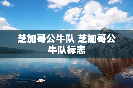 芝加哥公牛队 芝加哥公牛队标志