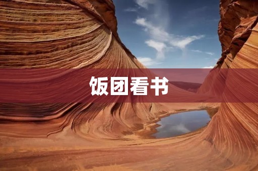 饭团看书：享受知识的美味