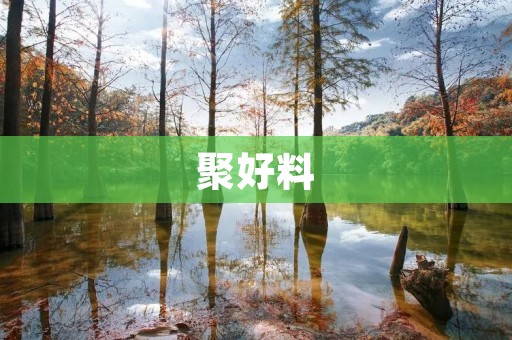 聚好料：为您带来最全面的赛事资讯