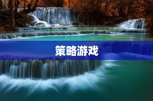 策略游戏:让你成为智慧与胆略并存的领袖