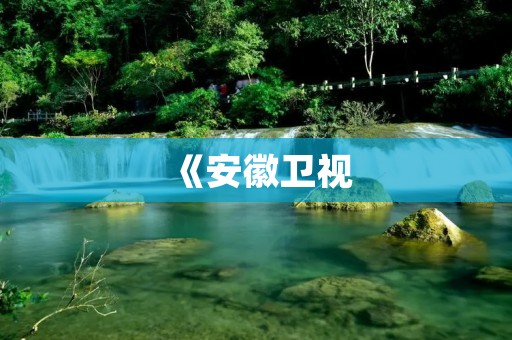 《安徽卫视：传递家庭温暖，引领时尚潮流》