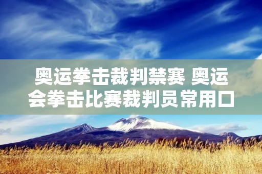 奥运拳击裁判禁赛 奥运会拳击比赛裁判员常用口令 奥运拳击裁判禁赛 奥运会拳击比赛裁判员常用口令