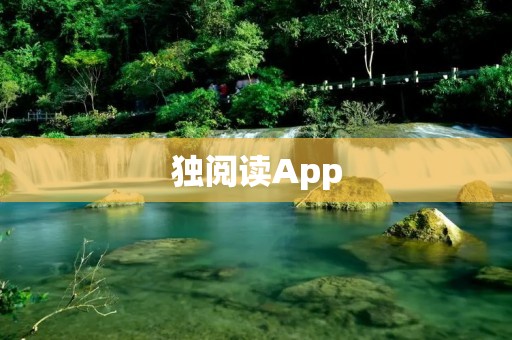 独阅读App：打造专属的阅读乐园
