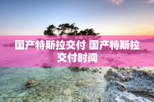 国产特斯拉交付 国产特斯拉交付时间