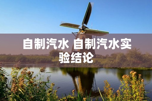 自制汽水 自制汽水实验结论