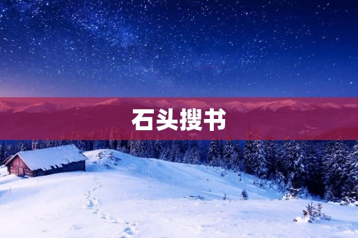 石头搜书:为你解锁无尽的知识宝库 石头搜书:为你解锁无尽的知识宝库